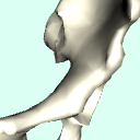 l_hip_bone