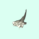 l_temporal