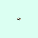 r_lunate