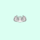 upperTeeth