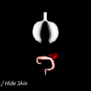 MedicalMetadataViewer