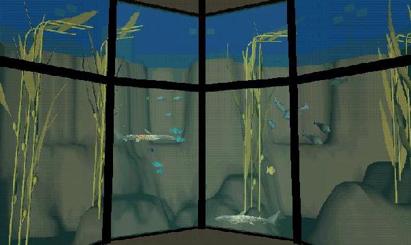 Kelp Forest Exhibit